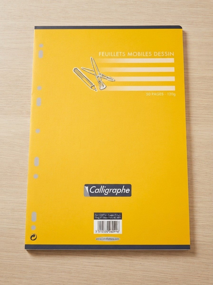 50 feuilles mobiles dessin 21x29.7 cm 120g/m²