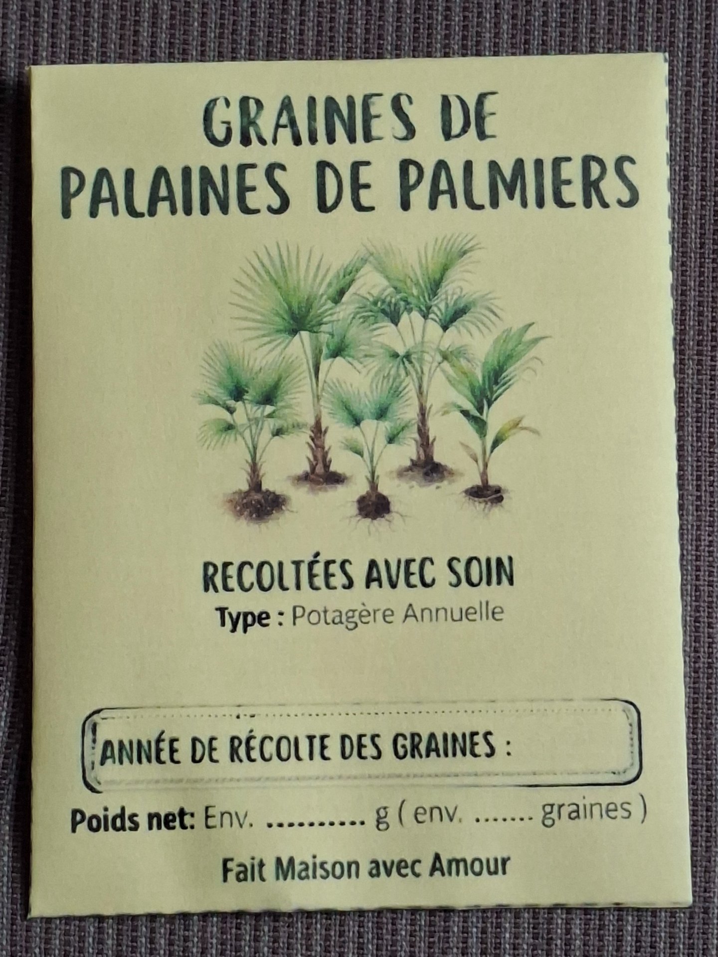 Sachet de graines de palmiers